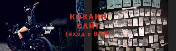 соль ск Кодинск