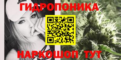 ПСИЛОЦИБИНОВЫЕ ГРИБЫ Заволжье