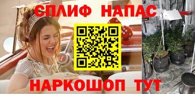 ПСИЛОЦИБИНОВЫЕ ГРИБЫ Заволжье