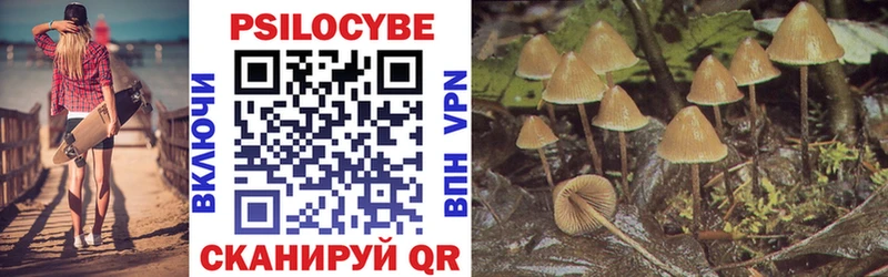 Псилоцибиновые грибы Psilocybine cubensis Кумертау